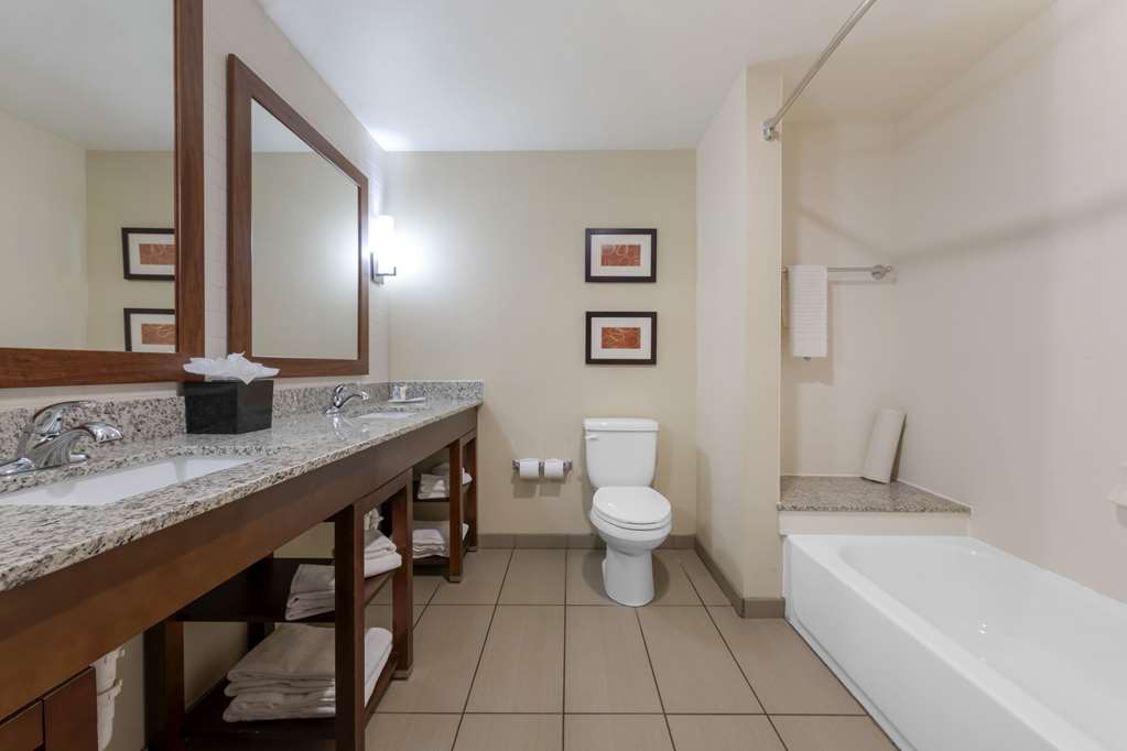 Comfort Suites and Conference Center - photo 25
