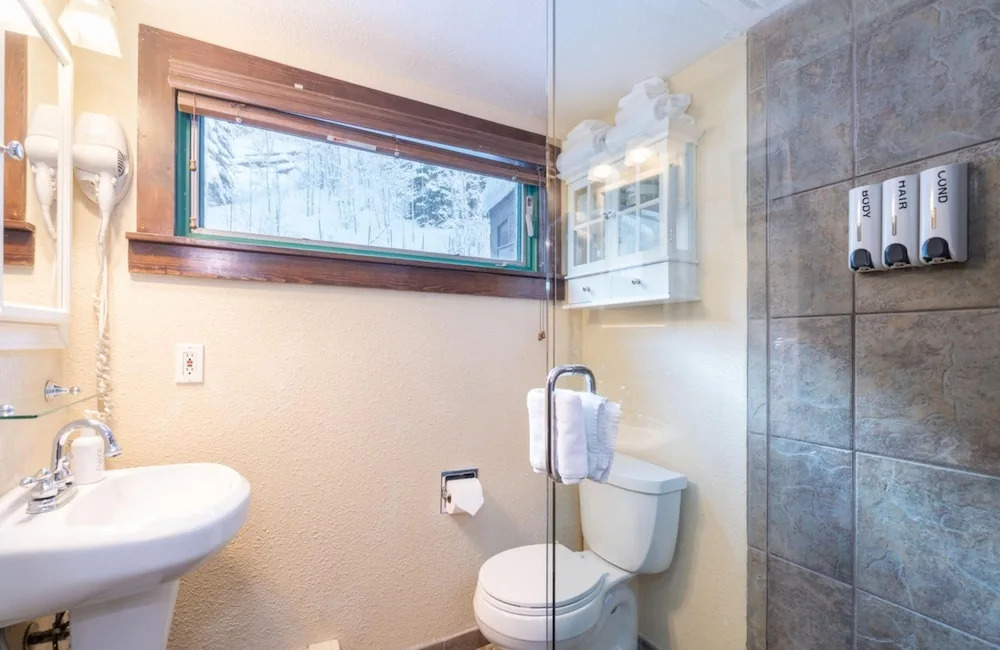 Manitou Lodge 7 Hotel Room by Alpine Lodging Telluride - photo 7