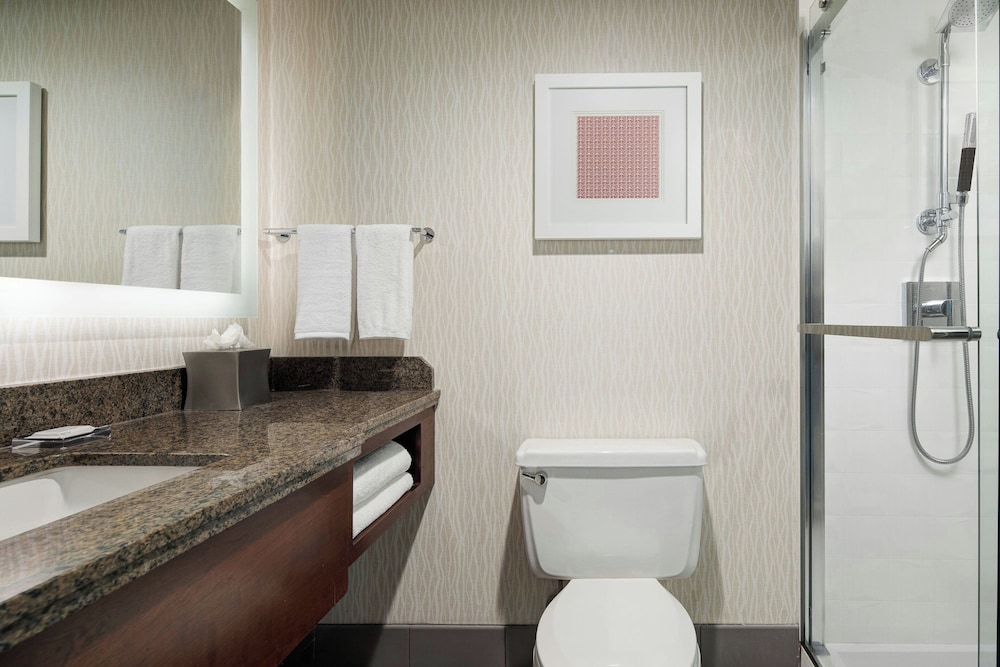 Marriott St. Louis Airport - photo 39