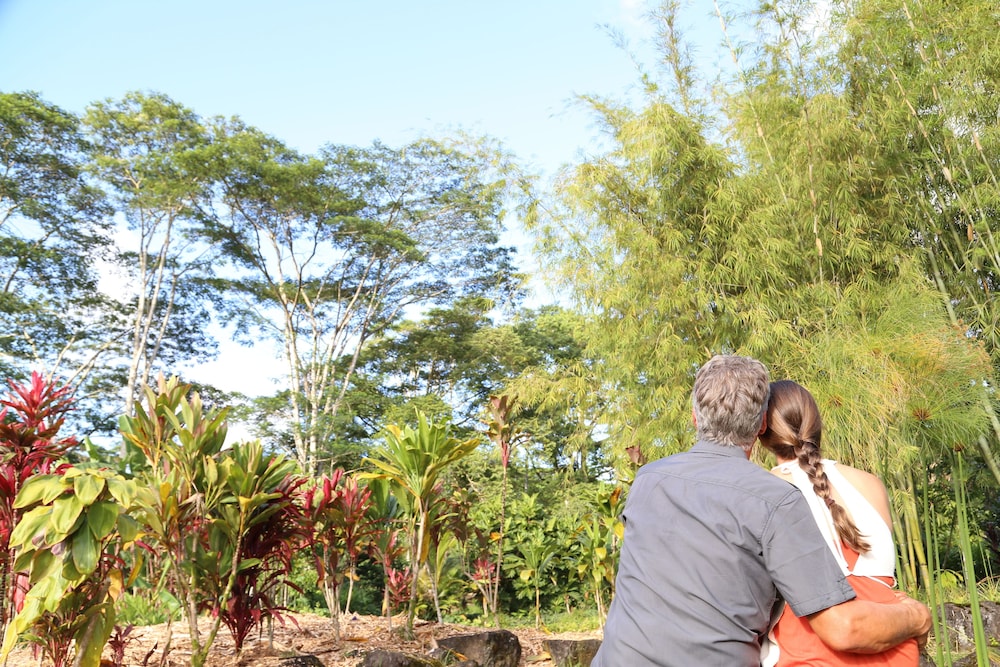 Hawaiian Sanctuary - photo 39