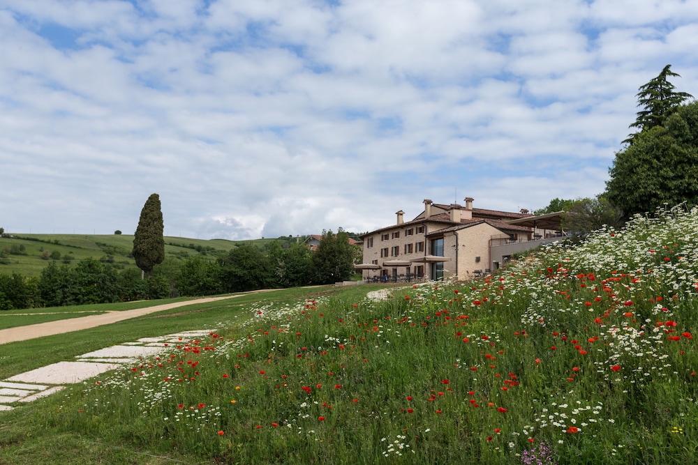 Ca Del Moro Wine Retreat — Grezzana