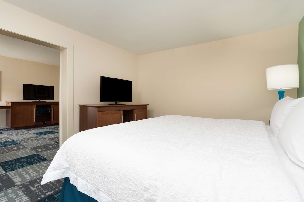 Hampton Inn Norcross - photo 19
