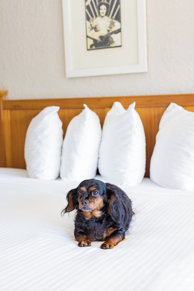 Millennium Hotel Maxwell House Nashville - photo 45