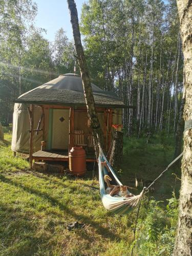 Biały Las Jurta - last minute hotel in Unknown City