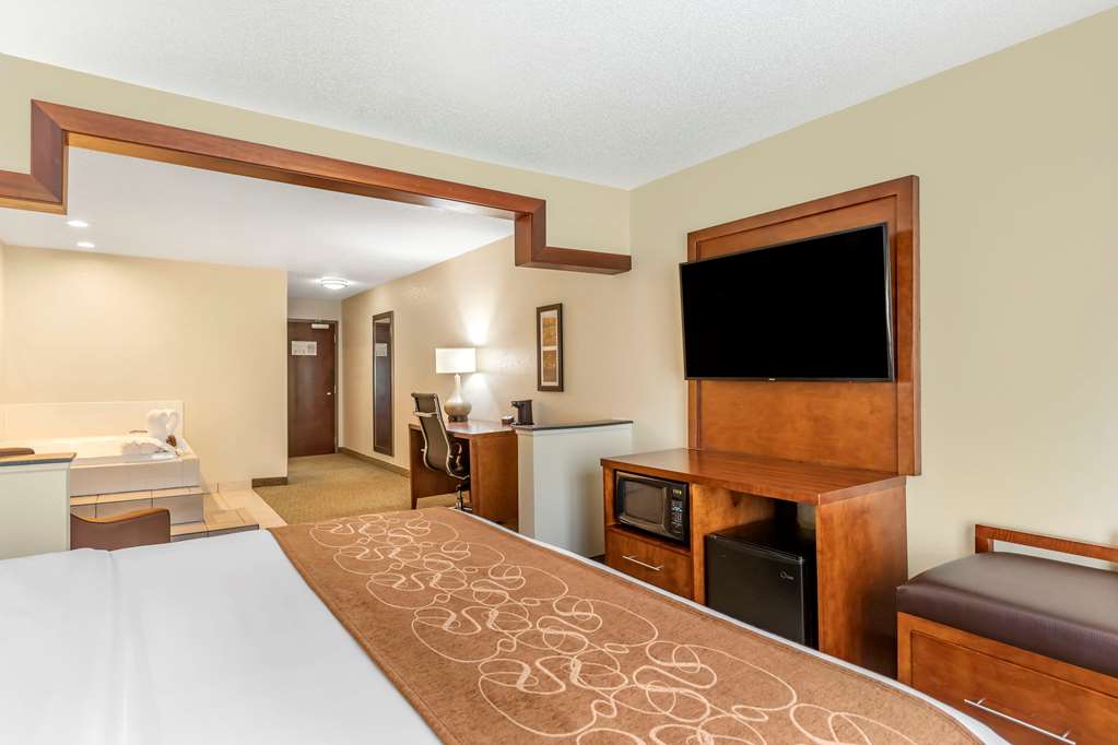 Comfort Suites Grand Rapids North - photo 16