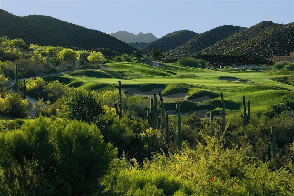 JW Marriott Starr Pass Resort and Spa - photo 67