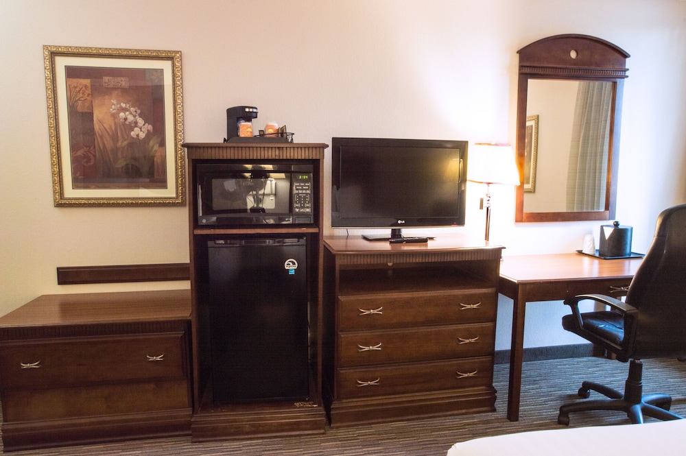 Greenstay Hotel & Suites - photo 14