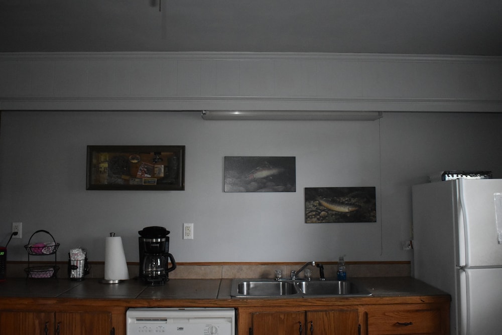 Jack's White River Fishing Resort - photo 31