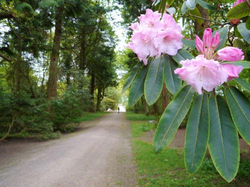 Grooms Cottage — 4-Star Luxury Hotel in None, United Kingdom
