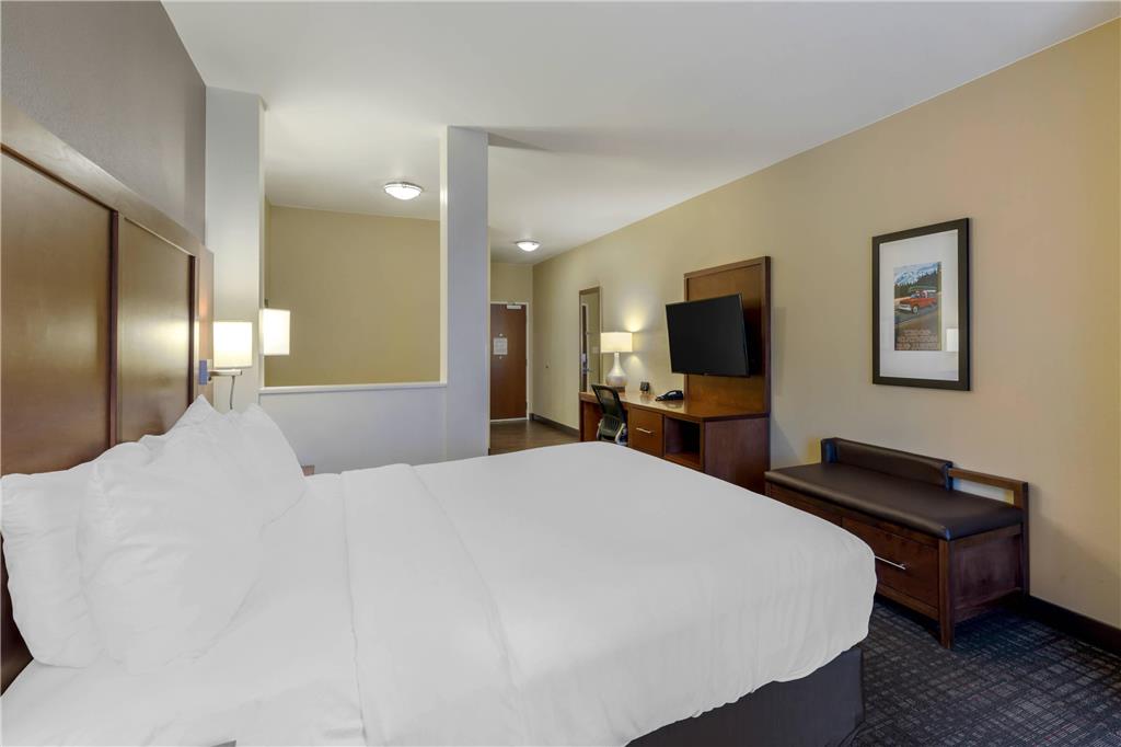 Comfort Suites Loveland - photo 13
