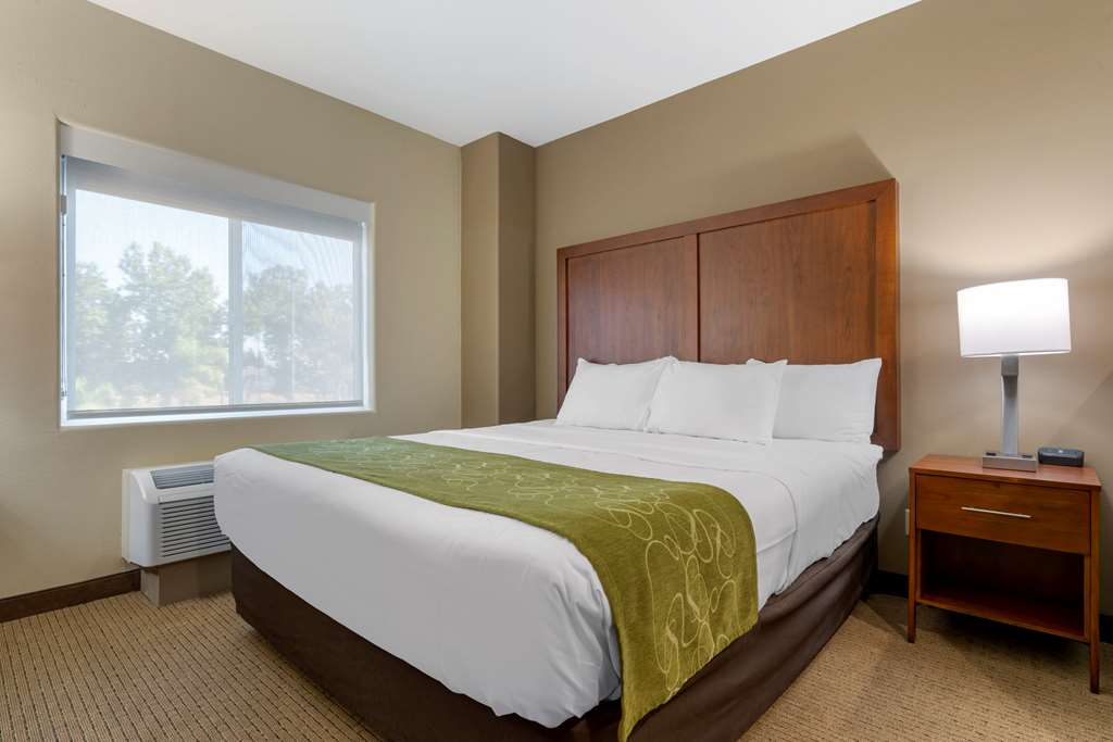 Comfort Suites Marysville Yuba City - photo 12