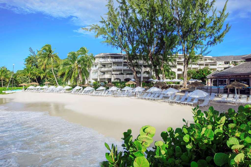 Bougainvillea Barbados — Oistins — photo 2