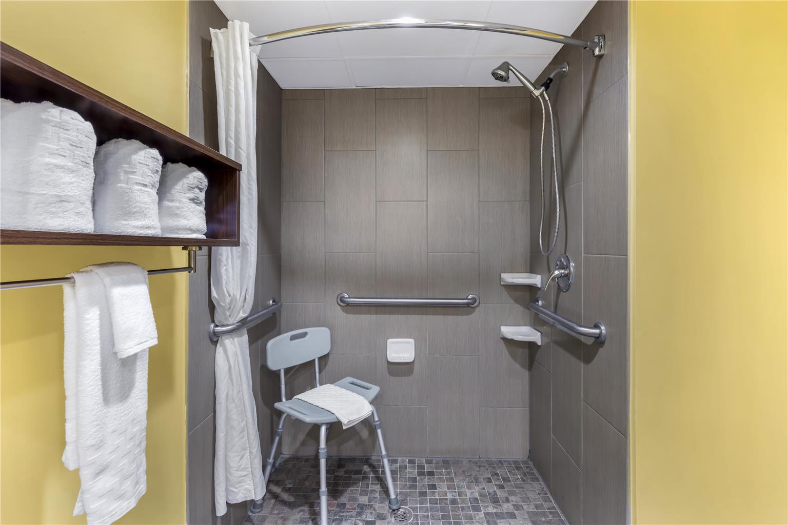 Best Western Plus Suites Greenville - photo 17