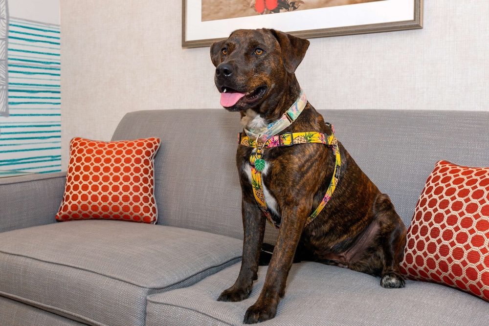 Hampton Inn Buffalo Williamsville - photo 38