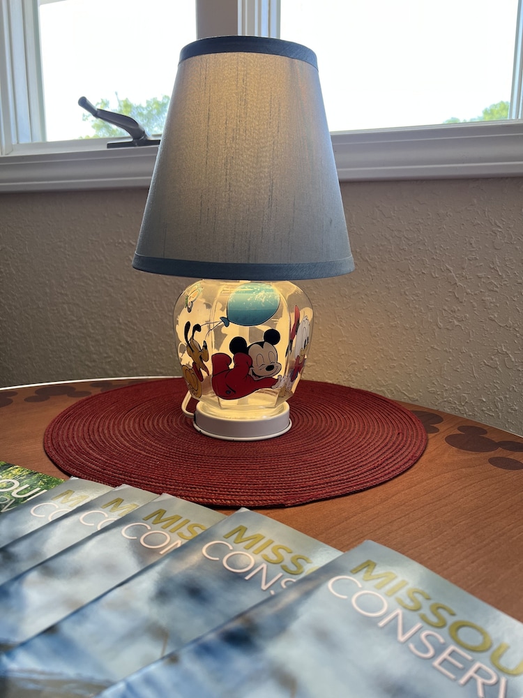 Hotel Marceline - photo 6