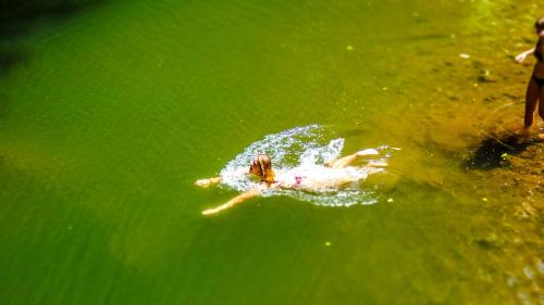 Makini Swing Adventure - last minute hotel in Arusha