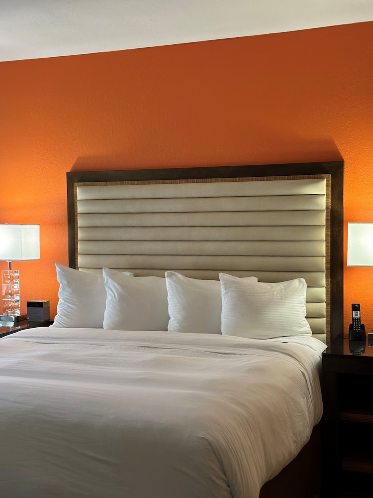 Moonrise Hotel - photo 14