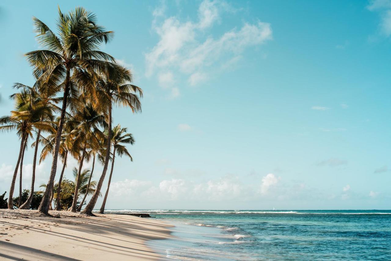Le Jardin de la Tortue Verte in Sainte-Anne, Guadeloupe