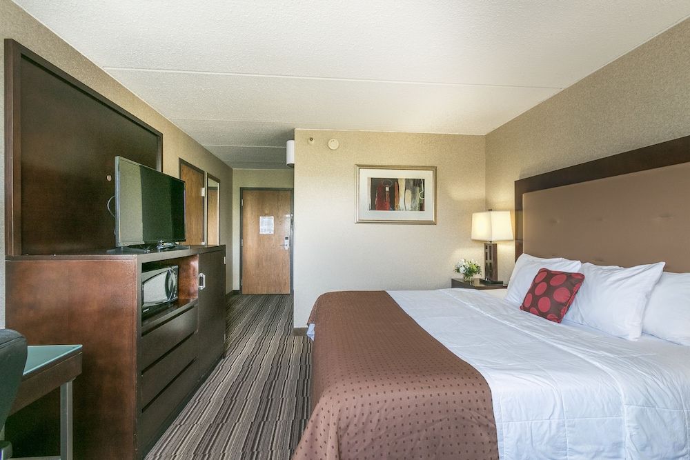 Mankato City Center Hotel - photo 10