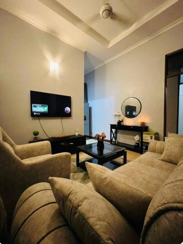 One Bedroom Apartment