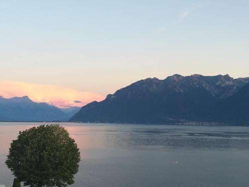 La Gremillette Gourmande Lavaux — hotel in Romanel-Sur-Lausanne