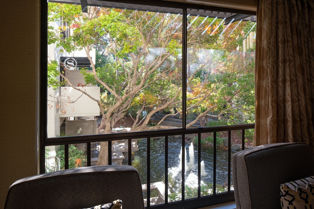 Sheraton Palo Alto Hotel - photo 4