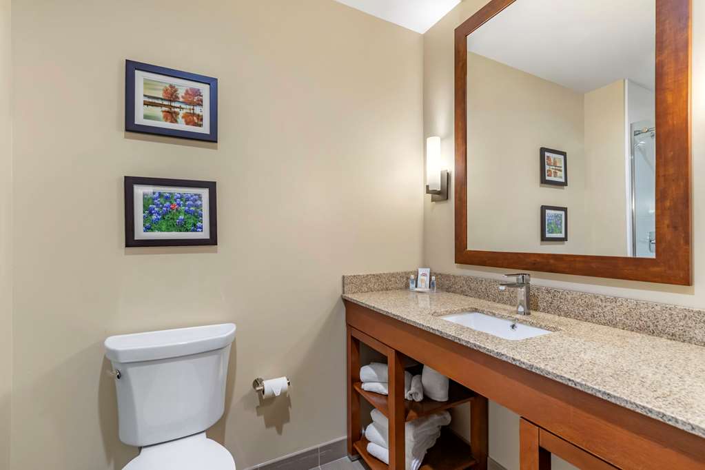 Comfort Suites San Antonio Ft. Sam Houston SAMMC Area - photo 6
