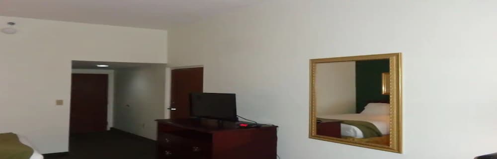 Ruskin Inn Hotel - photo 12