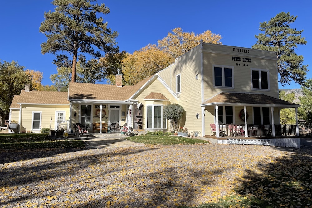 Moore's Old Pine Inn - photo 59