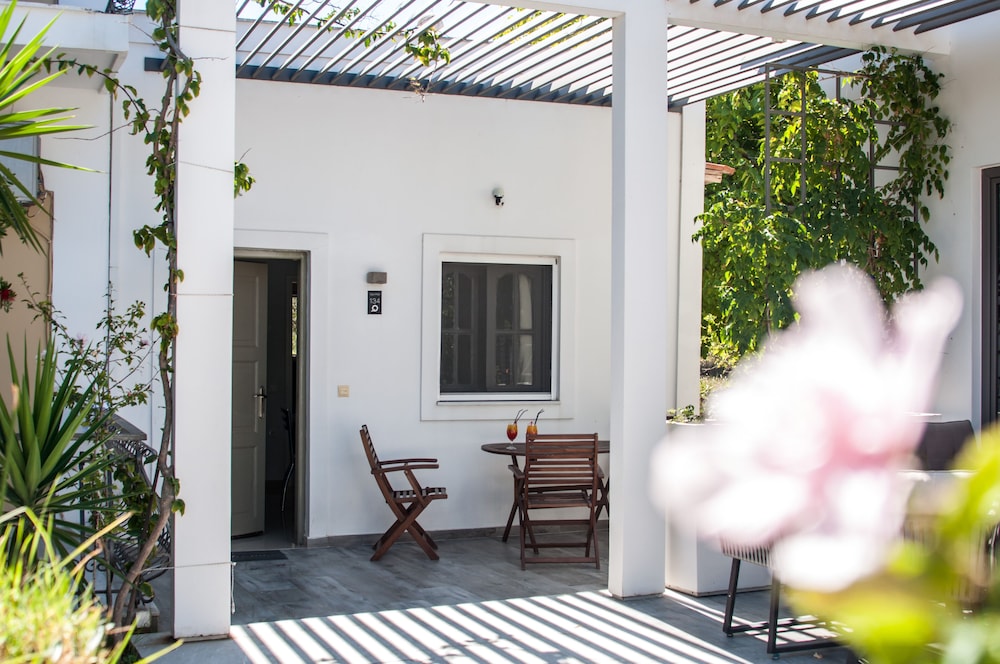 Sunny Garden - last minute hotel in Zakynthos