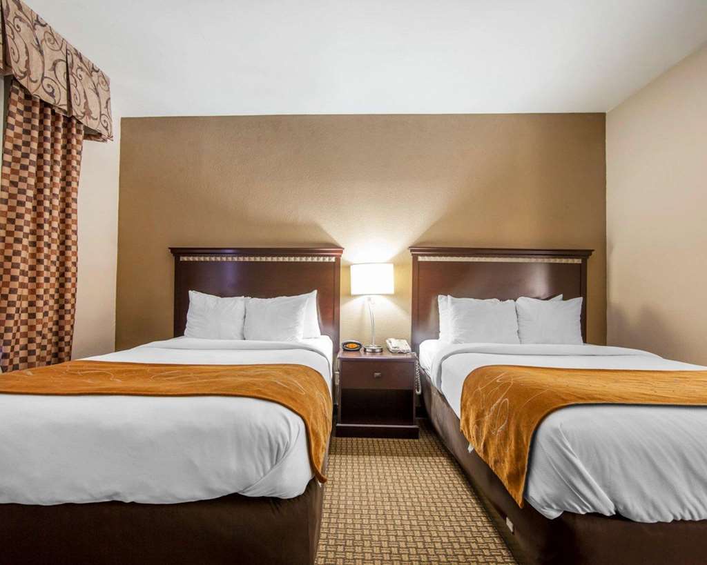 Comfort Suites London South - photo 13
