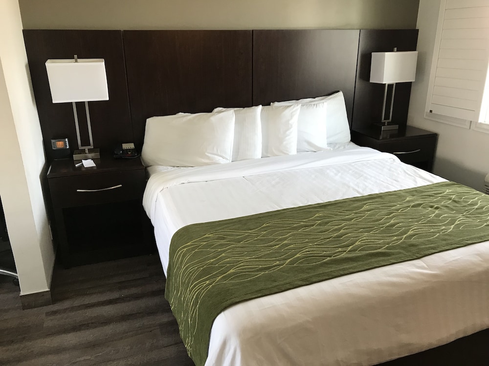 Hi View Inn & Suites - photo 5