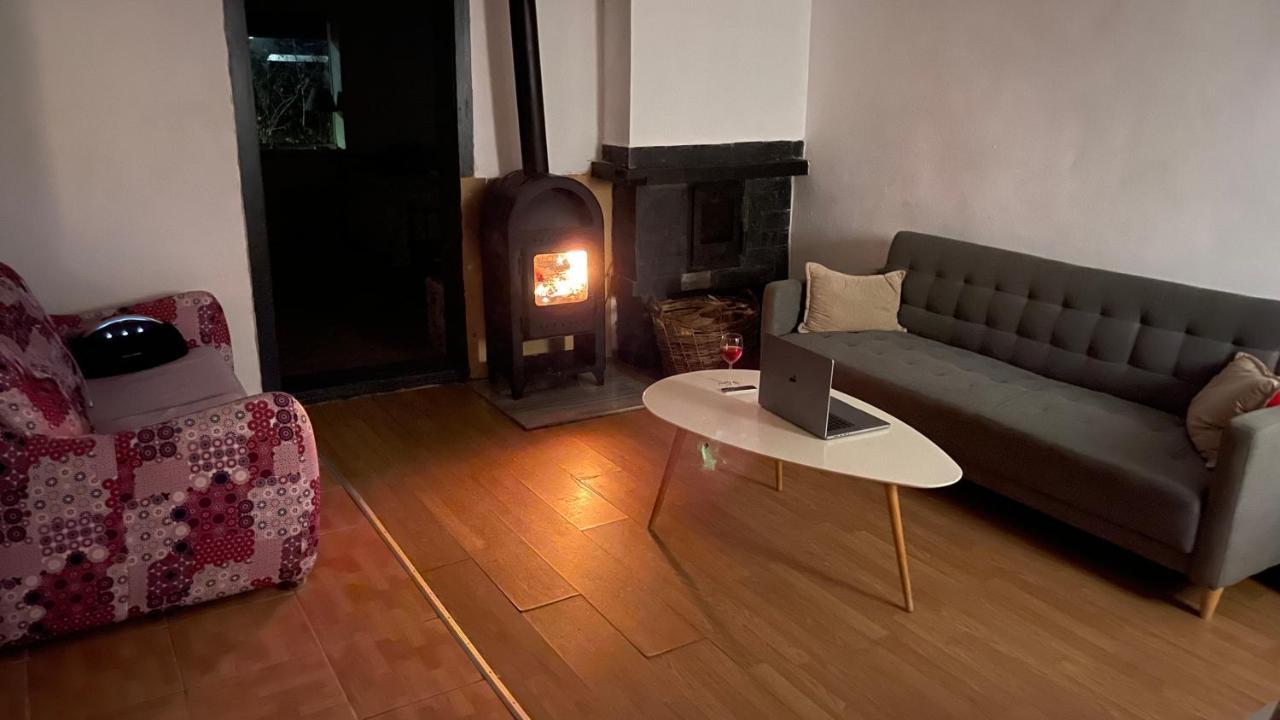 Cabana Nicu Odverem pet-friendly hotel Lopadea Noua