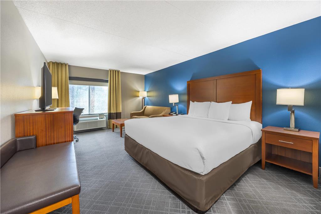Comfort InnSuites ChattanoogaWest Lookout Mountain - photo 7