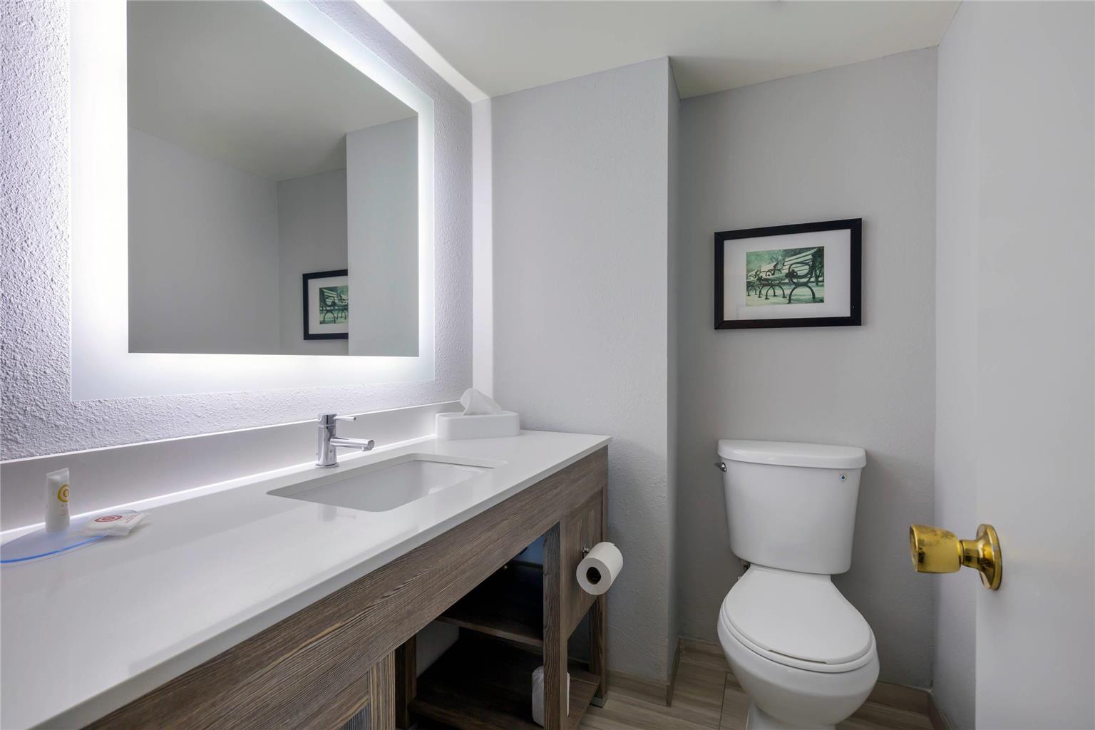 Comfort Inn & Suites Alexandria West - photo 23
