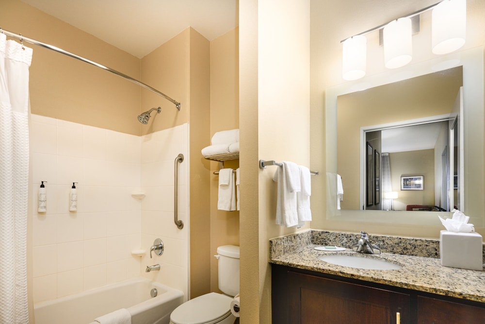 TownePlace Suites Houston Galleria Area - photo 23