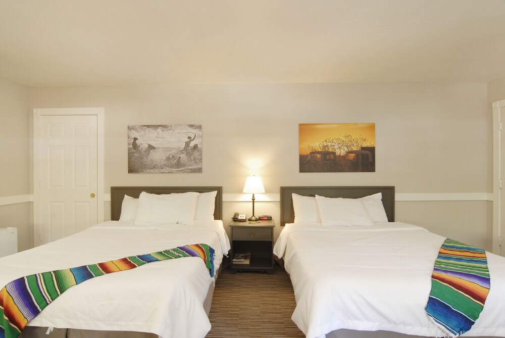 Palm Canyon Hotel & RV Resort - photo 10