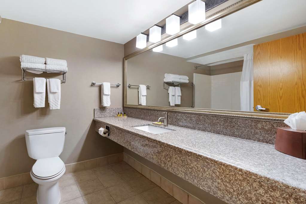Best Western Plus North Las Vegas Inn & Suites - photo 43