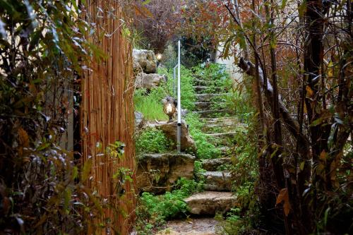 The Rose Trail — Kefar Weradim — photo 3