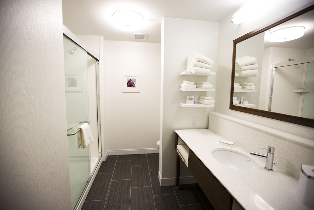 Hampton Inn Blue Ash Cincinnati - photo 29