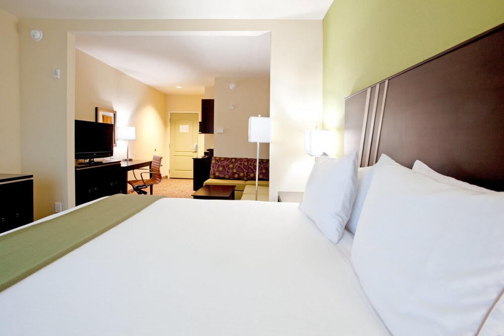 Holiday Inn Express & Suites Clemson by IHG - photo 7