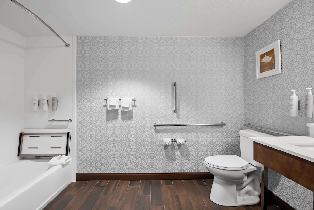 Hampton Inn Debary Deltona - photo 20