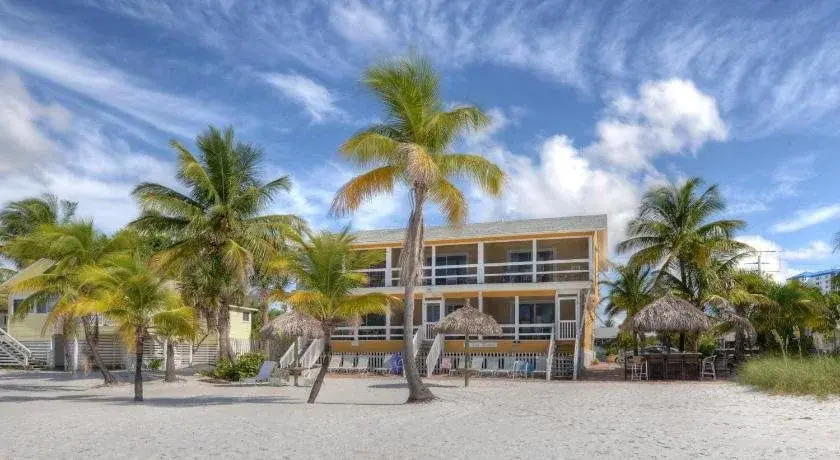 Tiki On The Beach - photo 16