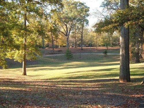 Feel the Berne — Atlanta — photo 4