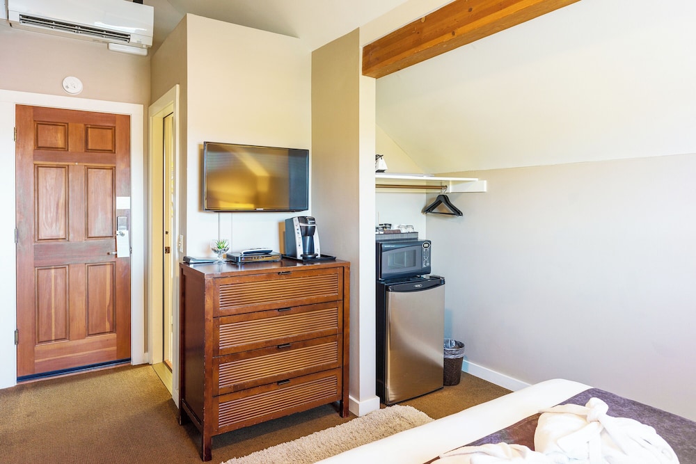 Bird Rock Hotel - photo 19