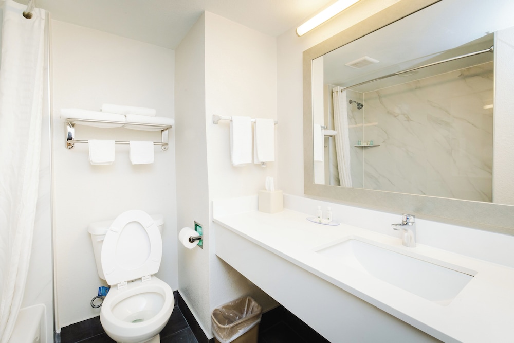 Quality Suites Houston Hobby Airport - photo 18