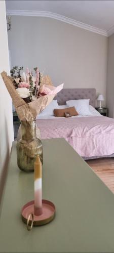 Manoir Belle Fontaine pet-friendly hotel Noaillan