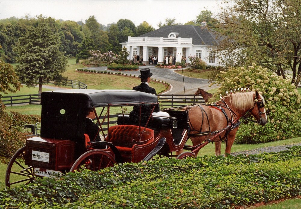 Black Horse Inn - photo 26