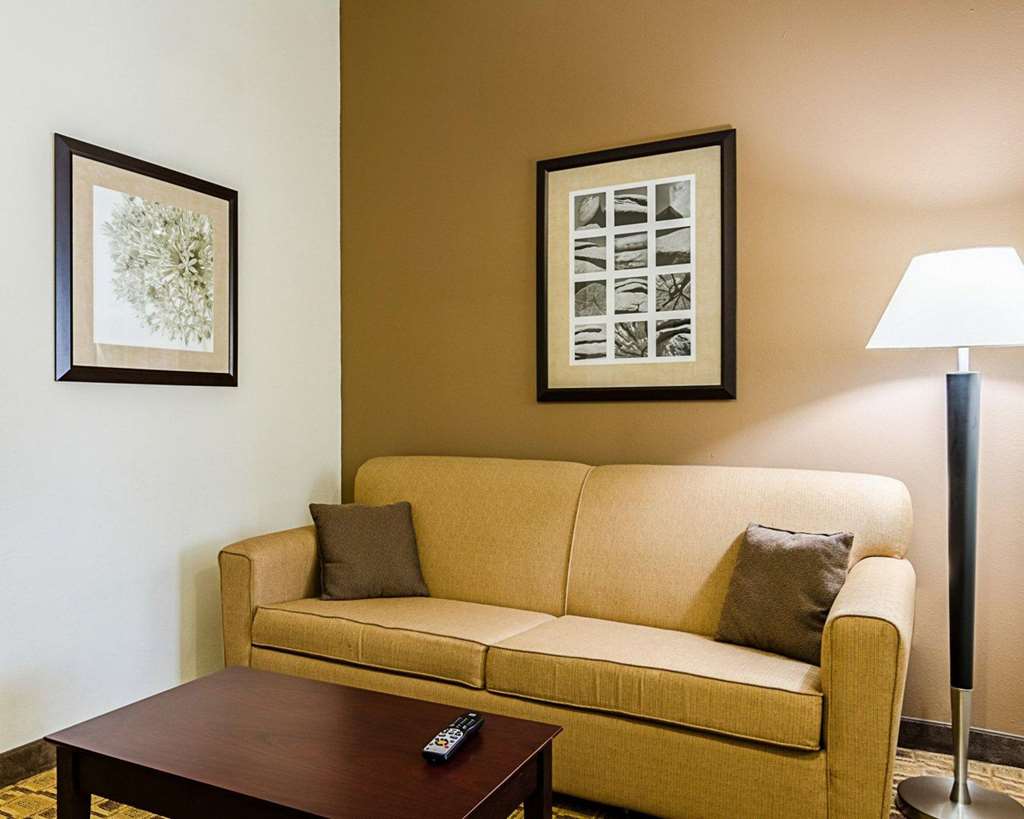 Comfort Inn & Suites Lawrence University Area - photo 16