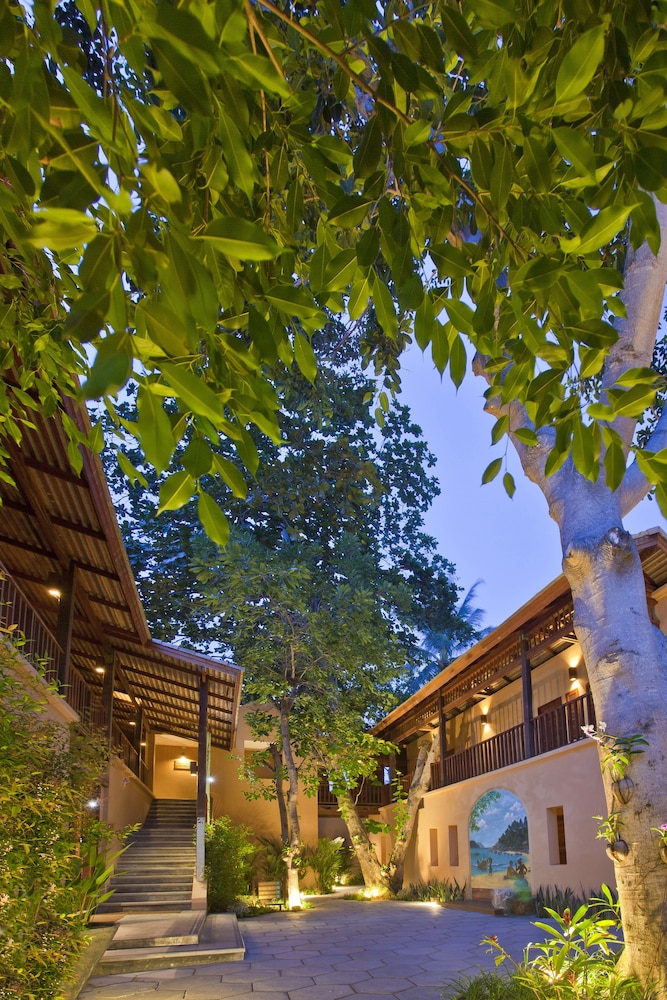 שטחי חוץ / גן